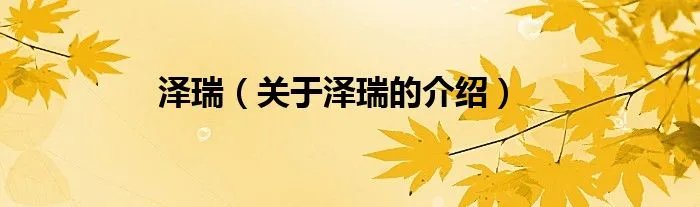 泽瑞（关于泽瑞的介绍）