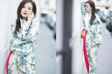 黄有龙为赵薇庆生 小燕子巴黎街拍惊艳众人