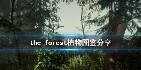 《森林》游戏植物有什么 the forest植物图鉴分享