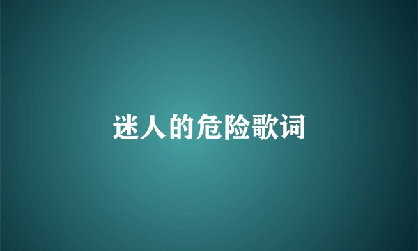 迷人的危险歌词