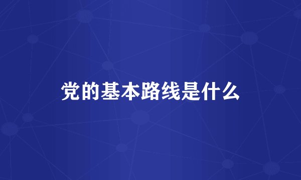 党的基本路线是什么