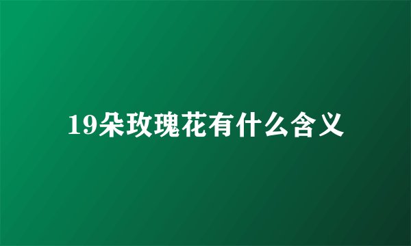 19朵玫瑰花有什么含义