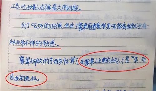 如何看待小学生记事本堪比摩斯密码?