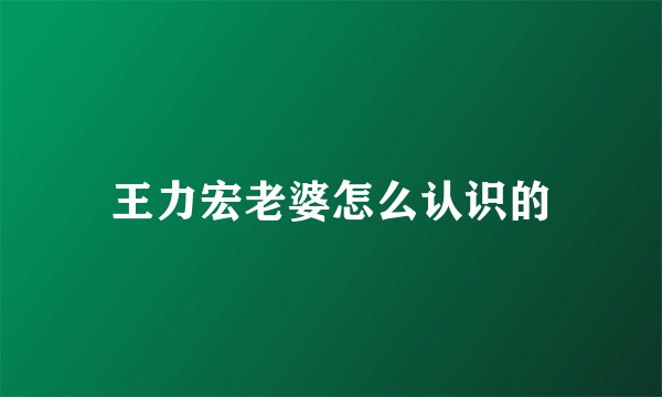 王力宏老婆怎么认识的