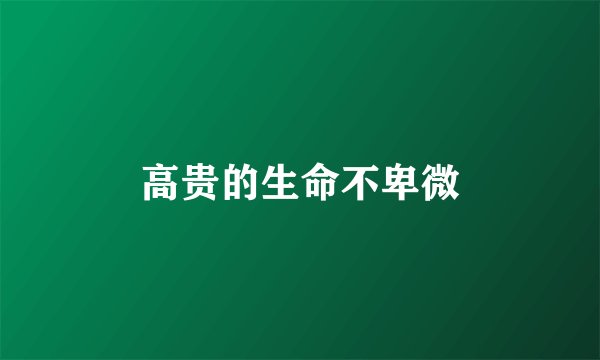 高贵的生命不卑微