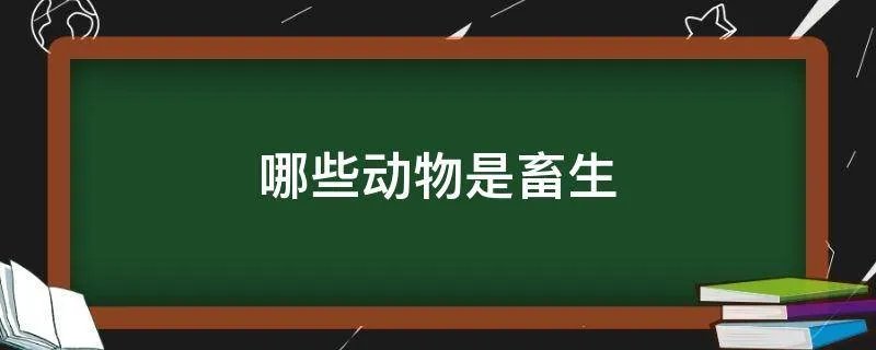 哪些动物是畜生