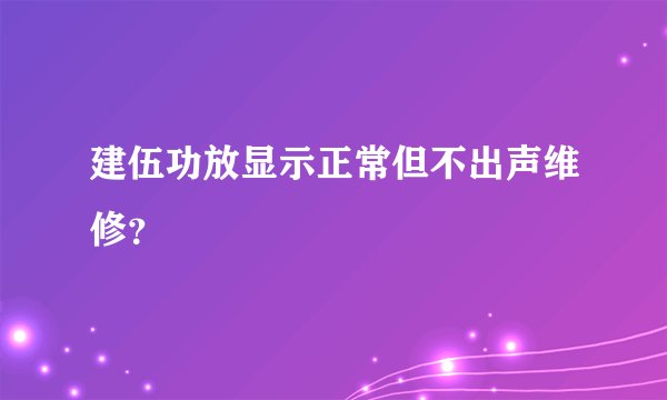 建伍功放显示正常但不出声维修？