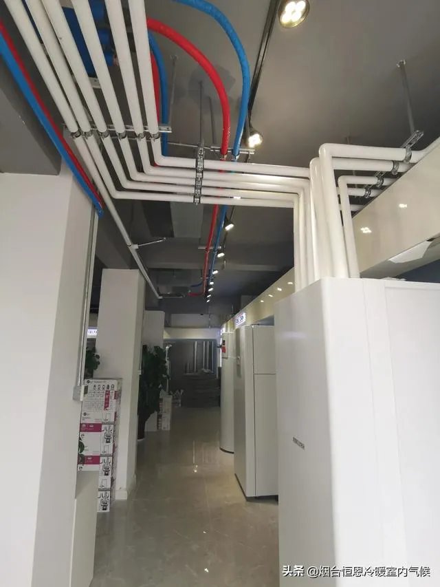 室友说宿茂臻很厉害,有谁能科普一下吗?