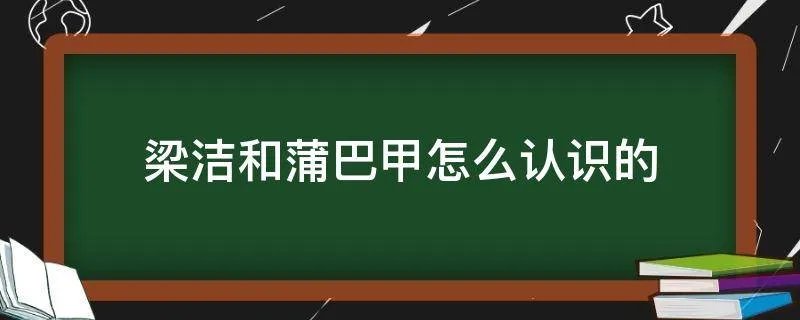 梁洁和蒲巴甲怎么认识的
