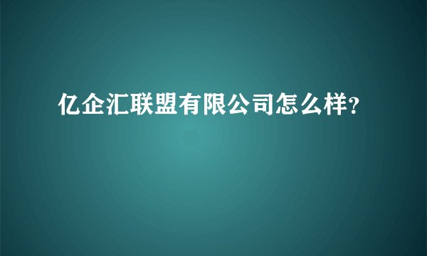 亿企汇联盟有限公司怎么样？