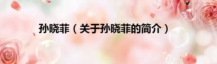 孙晓菲（关于孙晓菲的简介）