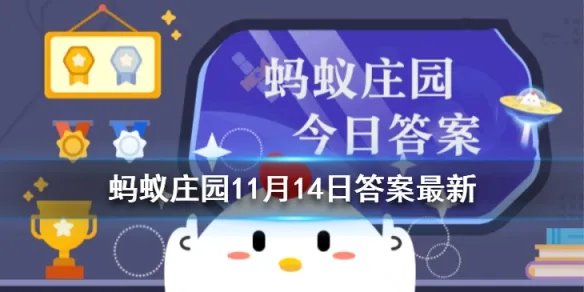 多吃核桃会变聪明吗蚂蚁庄园 吃核桃真的能补脑吗