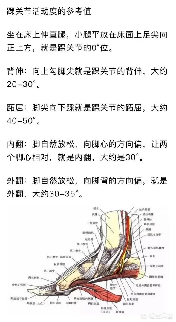 哪个是刹车?岳阳女司机驾车险撞人,男伴疯狂喊刹车最后被问懵,你怎么看?