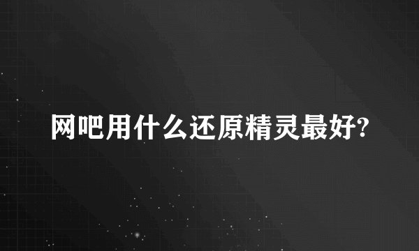 网吧用什么还原精灵最好?