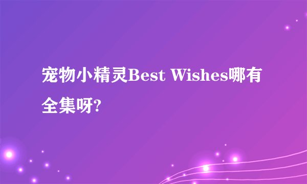 宠物小精灵Best Wishes哪有全集呀?