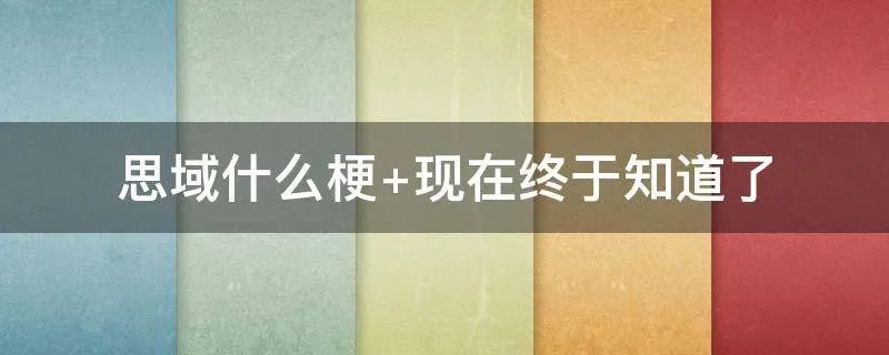 思域什么梗 现在终于知道了