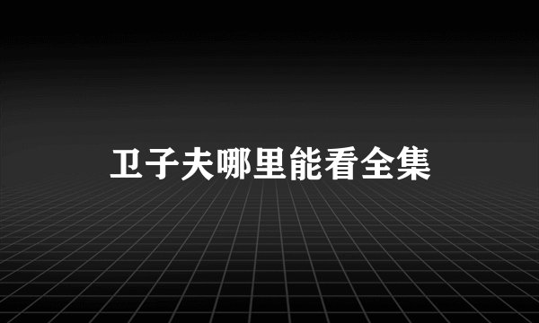 卫子夫哪里能看全集