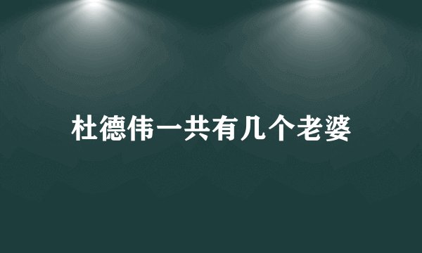 杜德伟一共有几个老婆