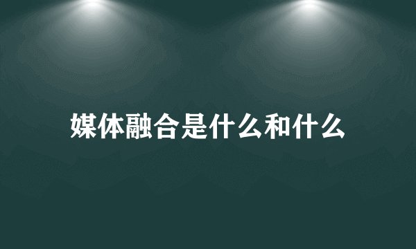 媒体融合是什么和什么