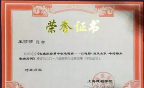 王莎莎硕士毕业就读于哪所学校?