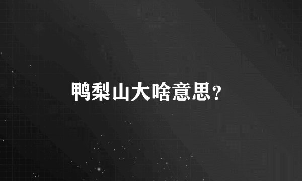 鸭梨山大啥意思？