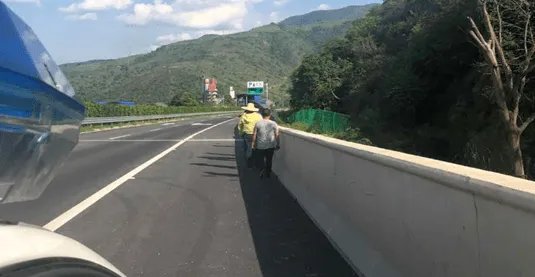 宠物狗晕车女子高速上下车遛狗!女子这么做有什么安全隐患?