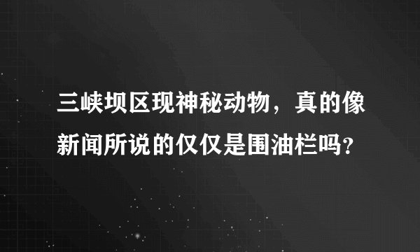三峡坝区现神秘动物，真的像新闻所说的仅仅是围油栏吗？