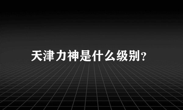 天津力神是什么级别？