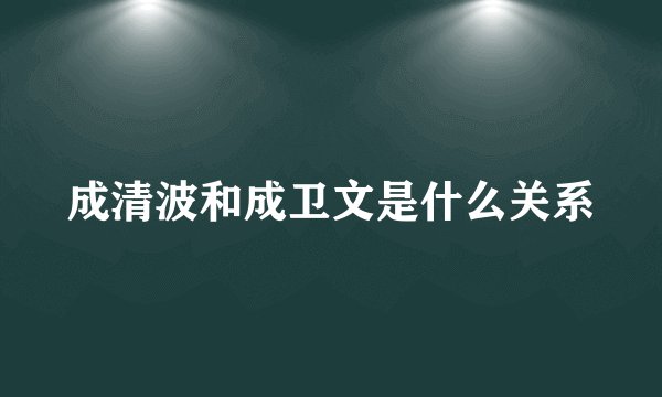 成清波和成卫文是什么关系