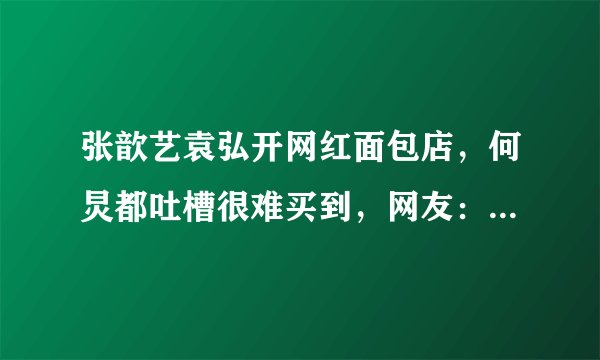 张歆艺袁弘开网红面包店，何炅都吐槽很难买到，网友：店名最有寓意