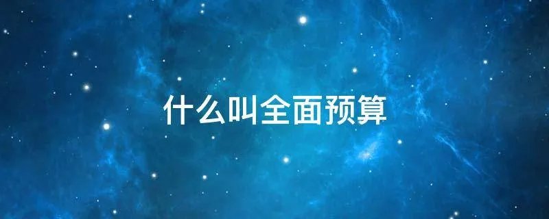 什么叫全面预算