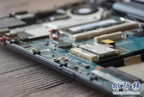 bug是什么意思,说人bug是什么意思(你就是个bug)