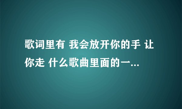 歌词里有 我会放开你的手 让你走 什么歌曲里面的一个男的唱的