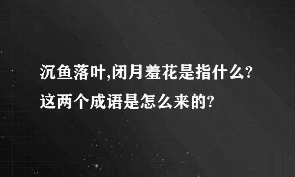 沉鱼落叶,闭月羞花是指什么?这两个成语是怎么来的?