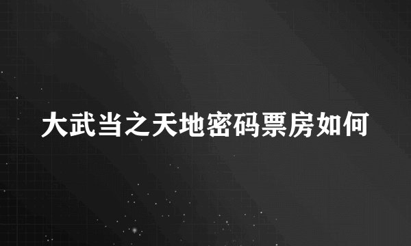 大武当之天地密码票房如何
