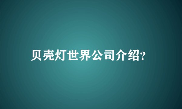 贝壳灯世界公司介绍？