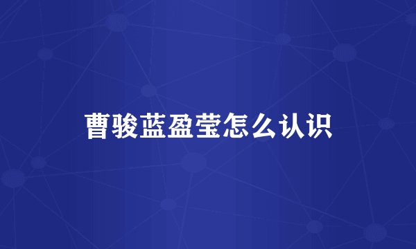 曹骏蓝盈莹怎么认识