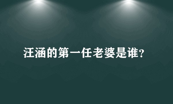 汪涵的第一任老婆是谁？