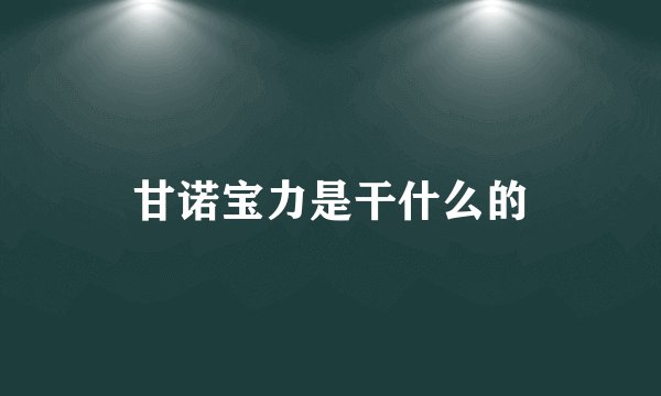 甘诺宝力是干什么的