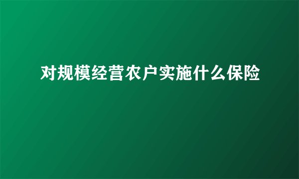 对规模经营农户实施什么保险