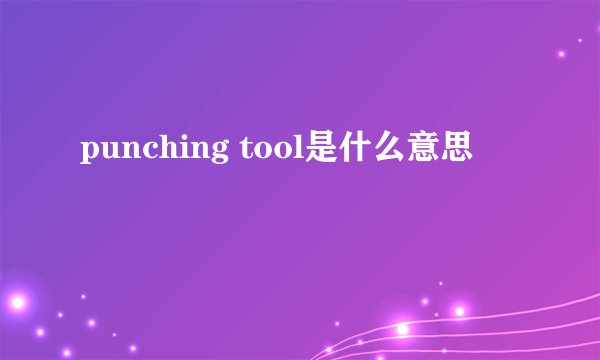 punching tool是什么意思