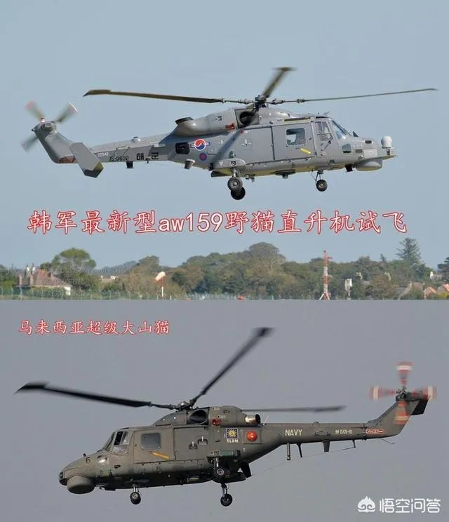 中国山猫直升机