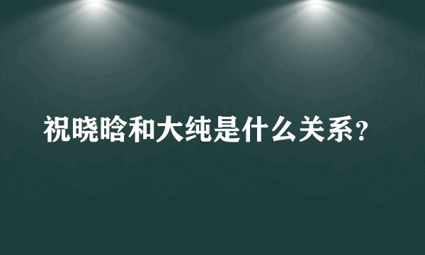 祝晓晗和大纯是什么关系？