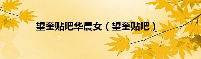 望奎贴吧华晨女（望奎贴吧）