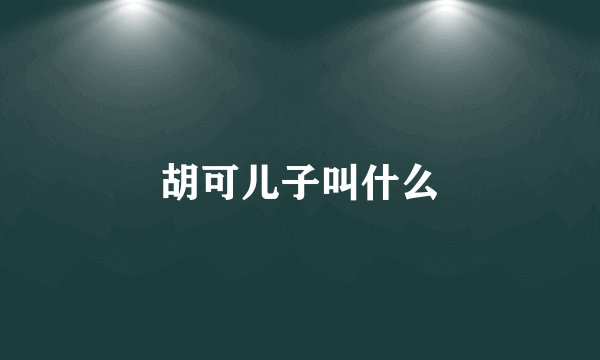 胡可儿子叫什么