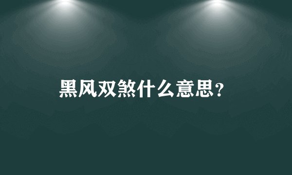 黑风双煞什么意思？