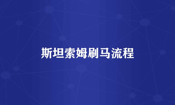 斯坦索姆刷马流程
