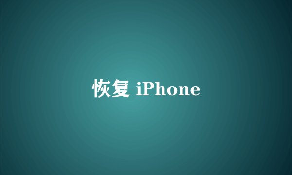 恢复 iPhone