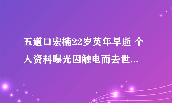 五道口宏楠22岁英年早逝 个人资料曝光因触电而去世 - 娱乐八卦 - 飞外网