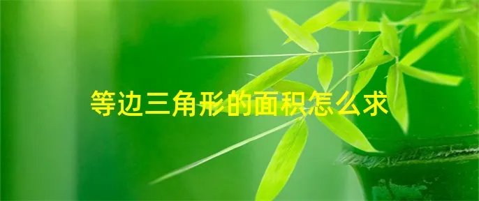 等边三角形的面积怎么求